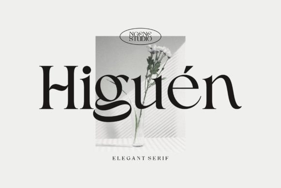 Higuen: A Serif Font for Elegant Design