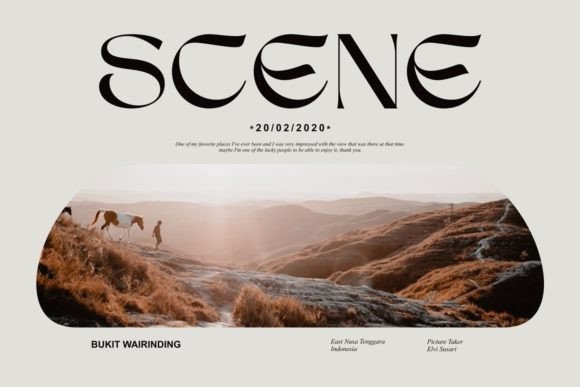 Sego: A Stylish Serif Font