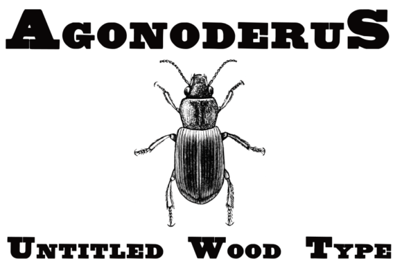 Untitled Wood Type Font
